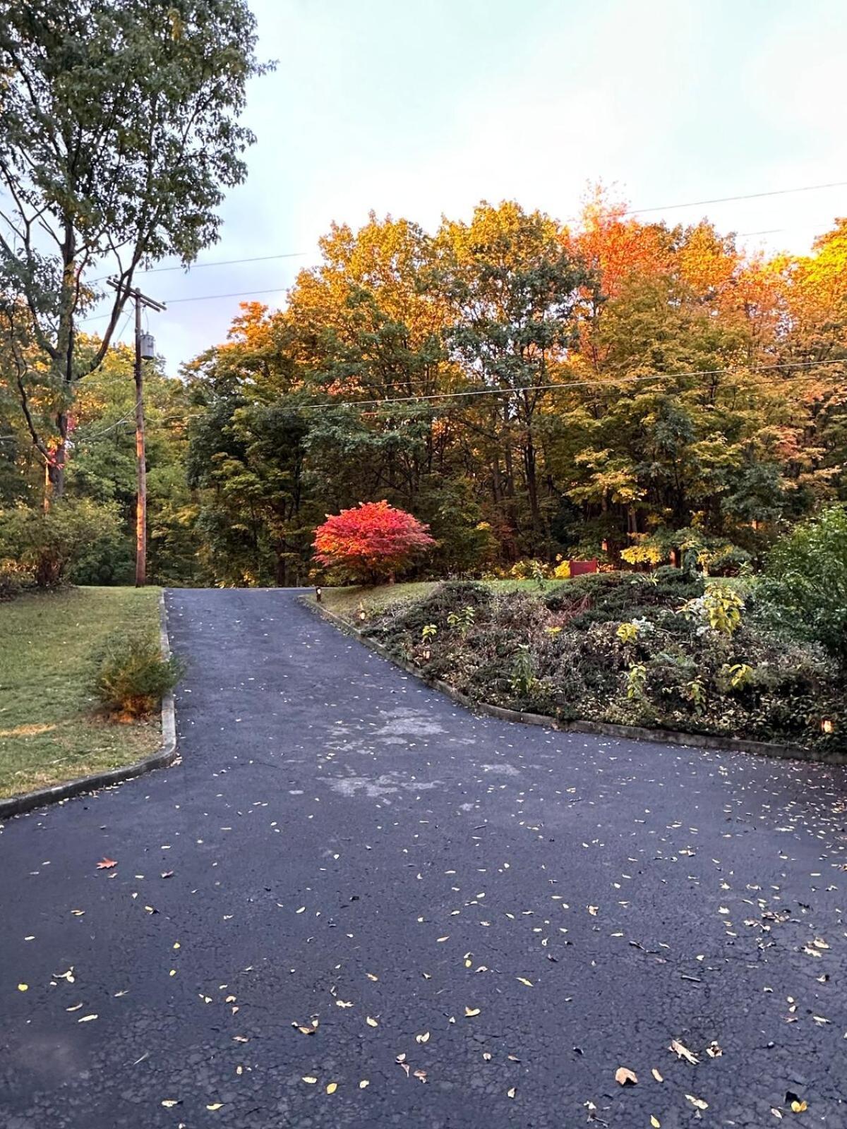 Cayuga Lake Cottage With Private Lake Access Washingtonville Exteriör bild